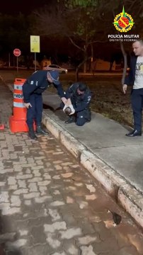 Bebê de sete meses é salvo por policiais militares após engasgo