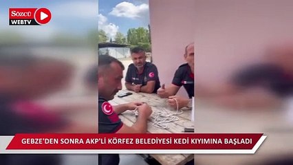 Gebze'den sonra AKP'li Körfez Belediyesi kedi kıyımına başladı
