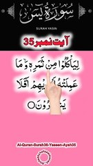 Al-Quran - Surah 36 - Yaseen - Ayah 35 | daily tilawat quran | hafiz salman ali