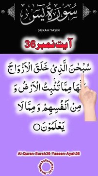 Al-Quran - Surah 36 - Yaseen - Ayah 36 | daily tilawat quran | hafiz salman ali