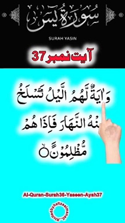 Al-Quran - Surah 36 - Yaseen - Ayah 37 | daily tilawat quran | hafiz salman ali