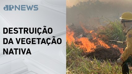 AGU cobra mais de R$ 89 milhões de infratores por queimadas