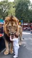 Cute baby with big male lion