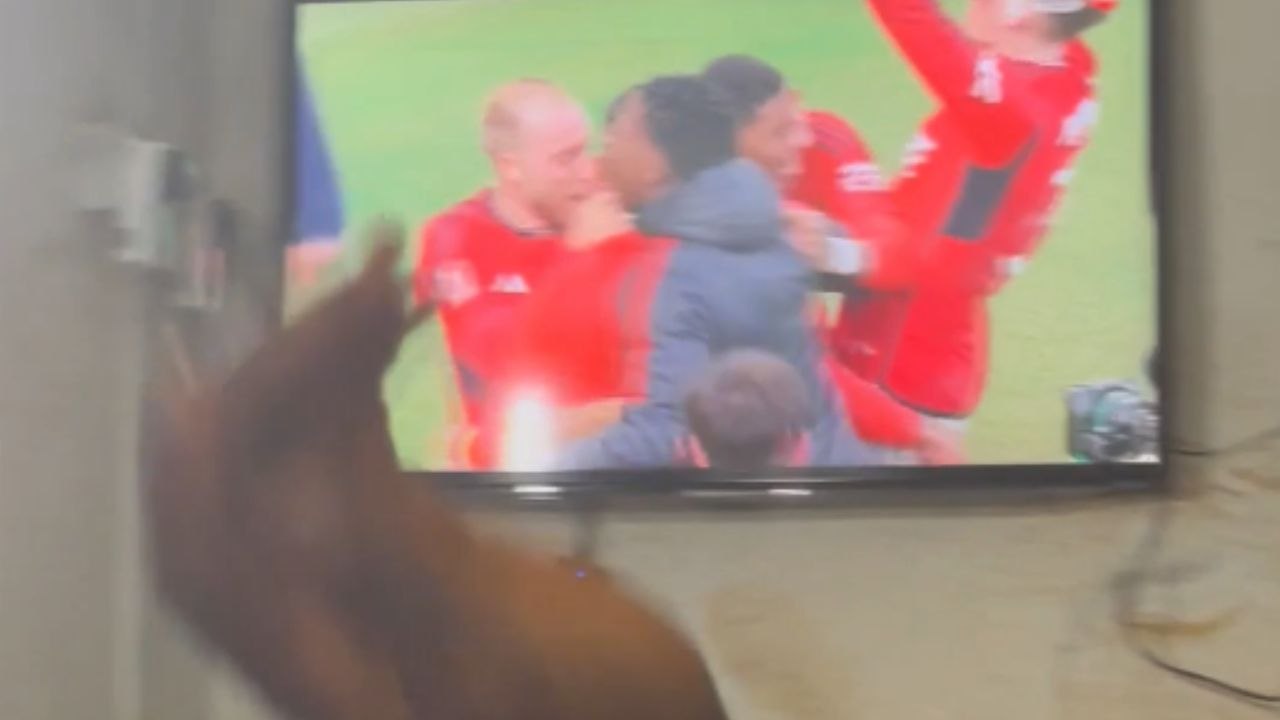 Superfans celebrate like there's no tomorrow after Manchester United's epic win against Liverpool