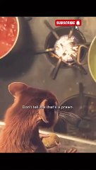 rat stole the witches