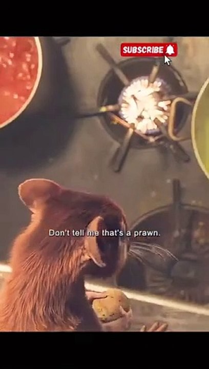 rat stole the witches