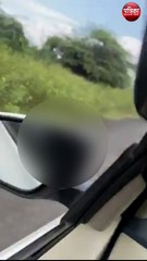 बाइक से अजगर बांधकर घसीटने का वीडियो वायरल, मचा हड़ंकप; देखें VIDEO