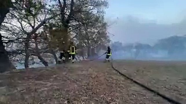 I vigili del fuoco lottano contro il vento per spegnere l'incendio