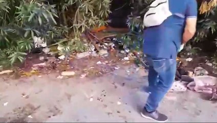 via Emilio greco alla Zisa