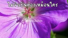 อยู่ในมุมที่ตัวเองมีความสุข ไม่จำเป็นต้องโดดเด่น ไม่จำเป็นต้องเหมือนใคร #mindset #คำคมสอนใจ #silsila #silsilasilsila