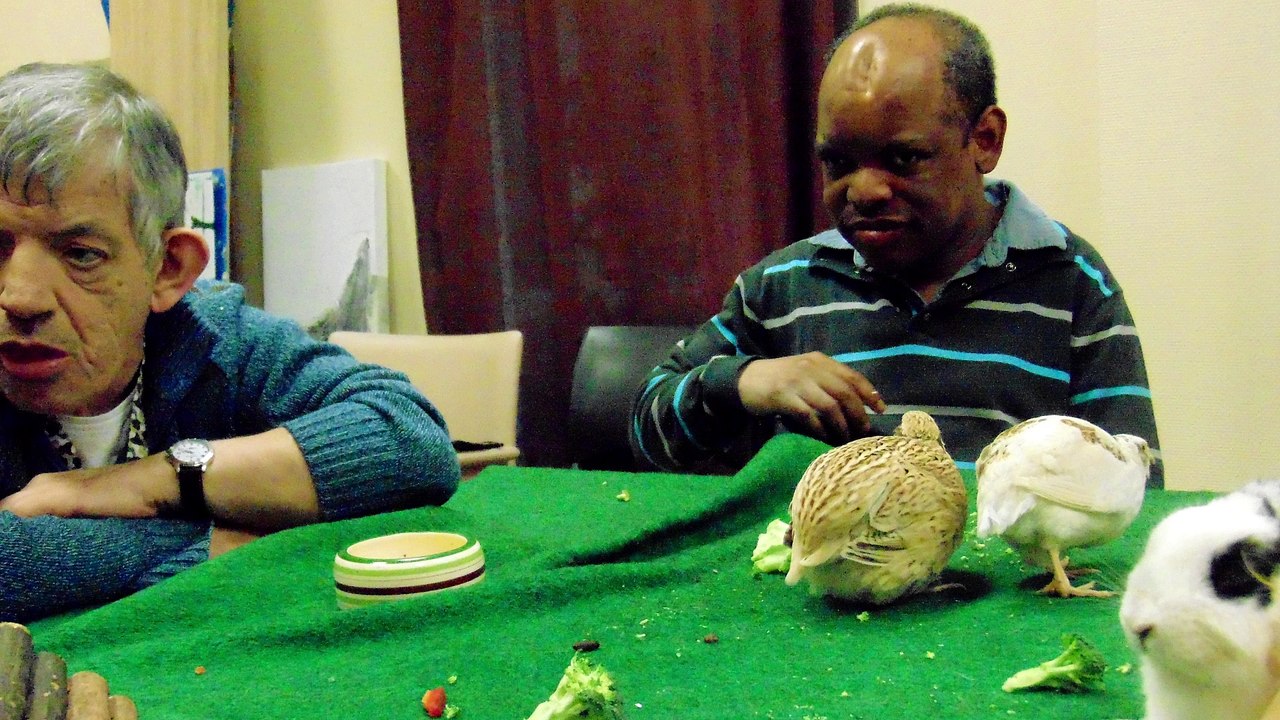 16 Pas à pates 2018