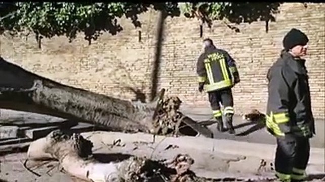 Albero caduto in centro a Chieti