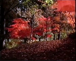 HRT 2 2005. - Ident i TV raspored