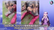 恐ろしい悪魔は、まるでゲームを楽しむように、逃げ回る犬に向けて、何度も撃ち続けました　The terrifying demon continued to shoot at the fleeing dog, as if it was playing a game.