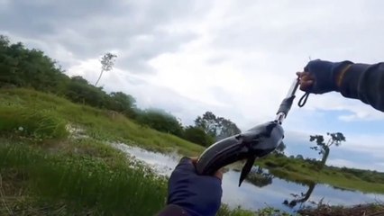 #1 fishing for snakehead fish