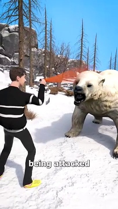 Using Bear Spray On A Polar Bear
