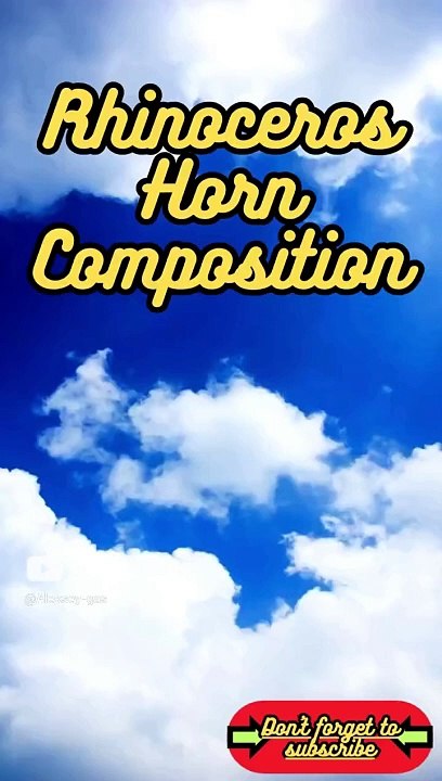 Animal Facts         Rhinoceros Horn Composition         #shorts