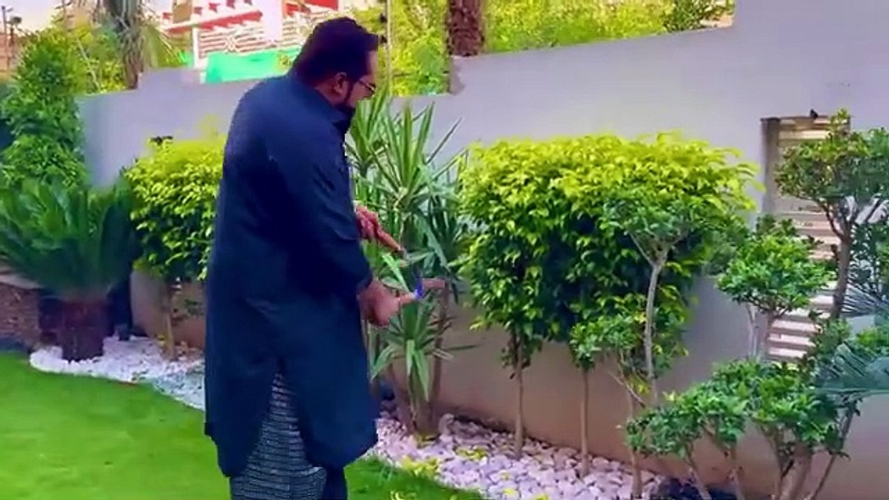 shame_on_you_tycoon_Jordan_and_muffin_looking_bhaloo__after(360p)
