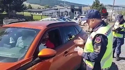 Bir haftada 3 milyon araç denetlendi
