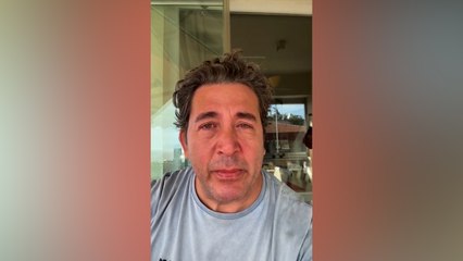 Emre Kınay, Gebze'de çok sayıda kedi ve köpeğin katledilmesine isyan etti