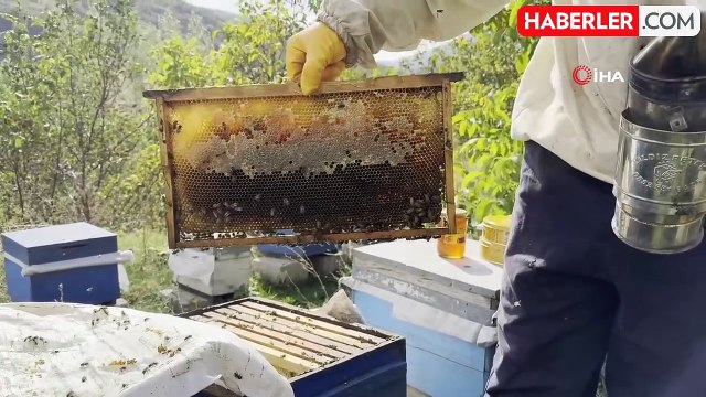 Bitlis Karakovan Balı Hasadına Başlandı