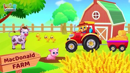 Toddler Learning Emotions, Learn Colors, First Words, ABCs, Best Learning Vi_HD