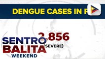 Kaso ng dengue sa bansa bumaba ng 20%