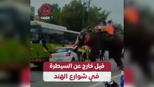 فيل خارج عن السيطرة في شوارع الهند