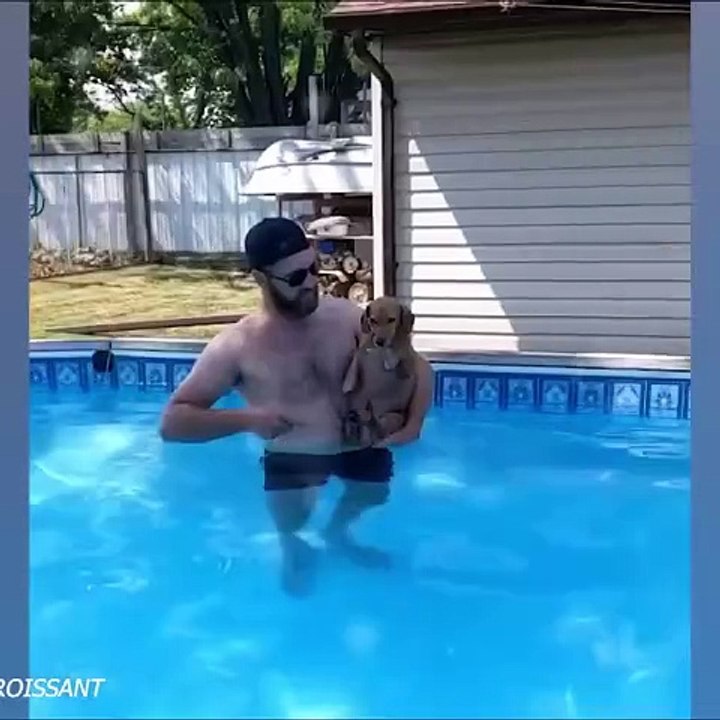 Dogs Who Love to Make You Smile