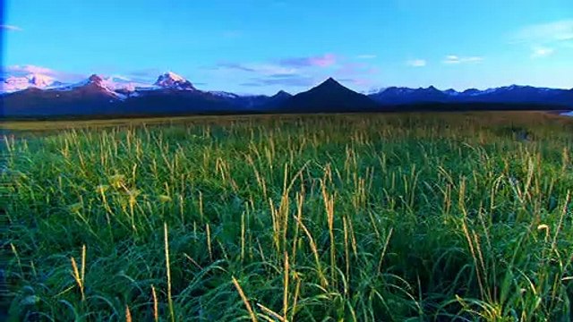 Sunrise Earth - Katmai Bears
