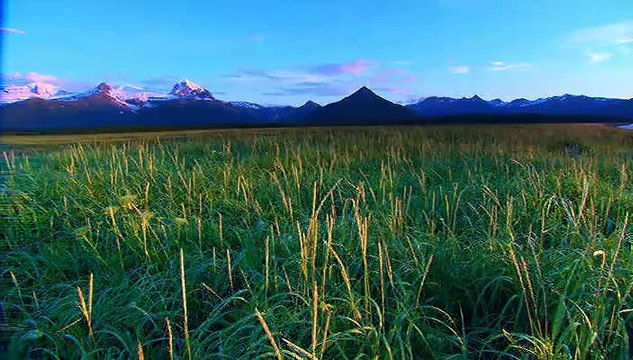 Sunrise Earth - Katmai Bears
