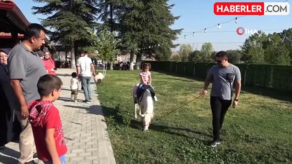 Tavşanlı'da At Severler İçin Yeni Bir Yaşam Alanı Açıldı