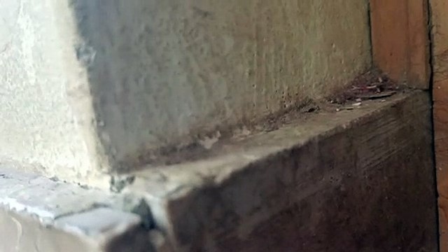 vika and vova jump video | vika vova jump live original video | vika and vova death video