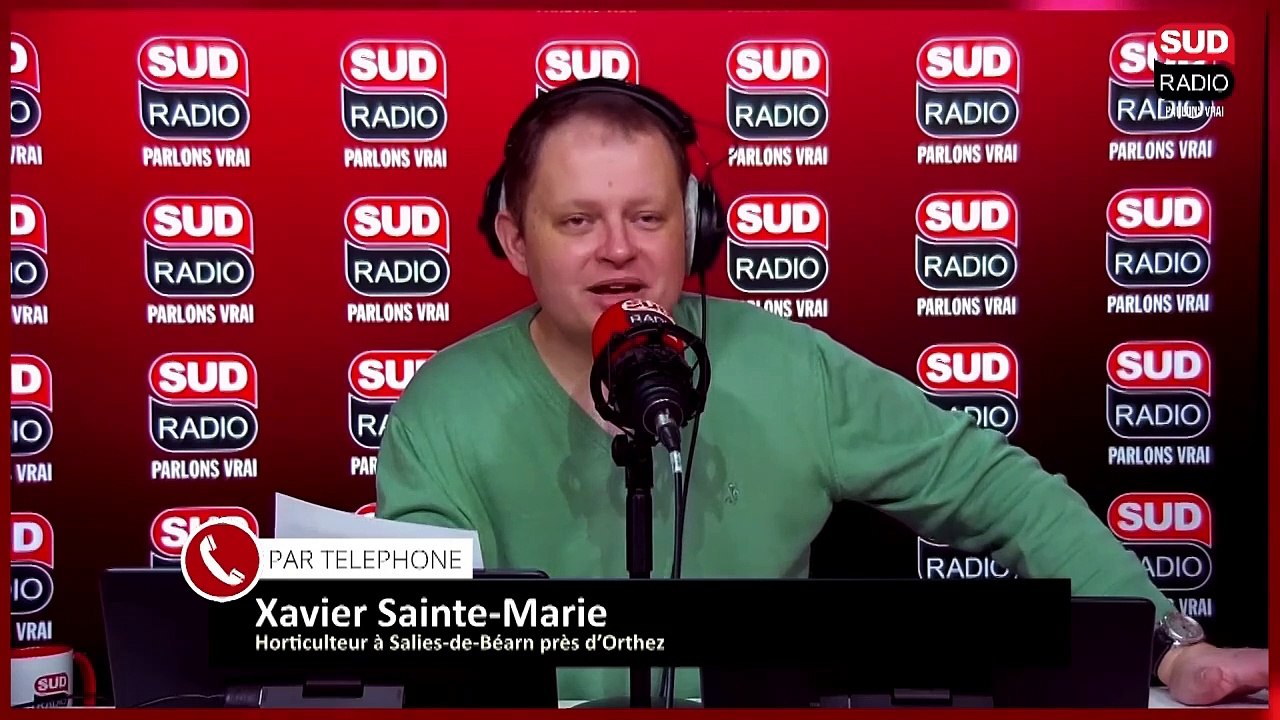 Quelles sont les fleurs de l’automne ?