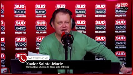 Quelles sont les fleurs de l’automne ?