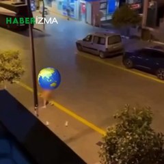 Yabancı Uyruklu İki Şahıs Köpeğe T*cavüz Etmeye Çalıştılar