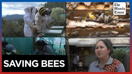 Spain beats France in content creators' football match