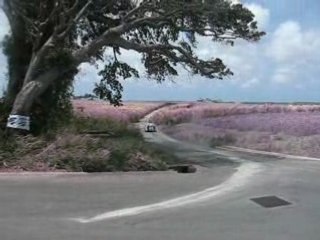 Automotive Art Shakedown Stages before Rally Barbados 2008