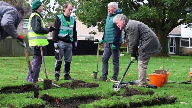 Spring bulbs planting in Glendale Avenue.