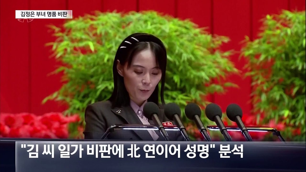 무인기 살포 전단지에 ‘김정은 부녀 명품 치장’ 비판