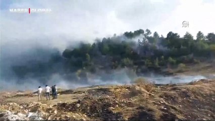Çöplükten çıkan yangın ormana sıçradı