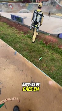 Cães skatistas são resgatados por Bombeiros após ficarem presos em pista