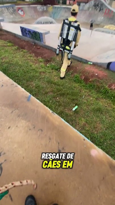 Cães skatistas são resgatados por Bombeiros após ficarem presos em pista