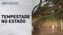 Defesa Civil confirma sete mortes após temporal em São Paulo na última sexta (11)