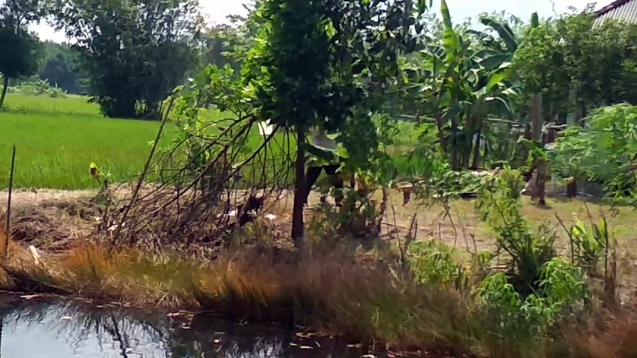 Mancing Part 1