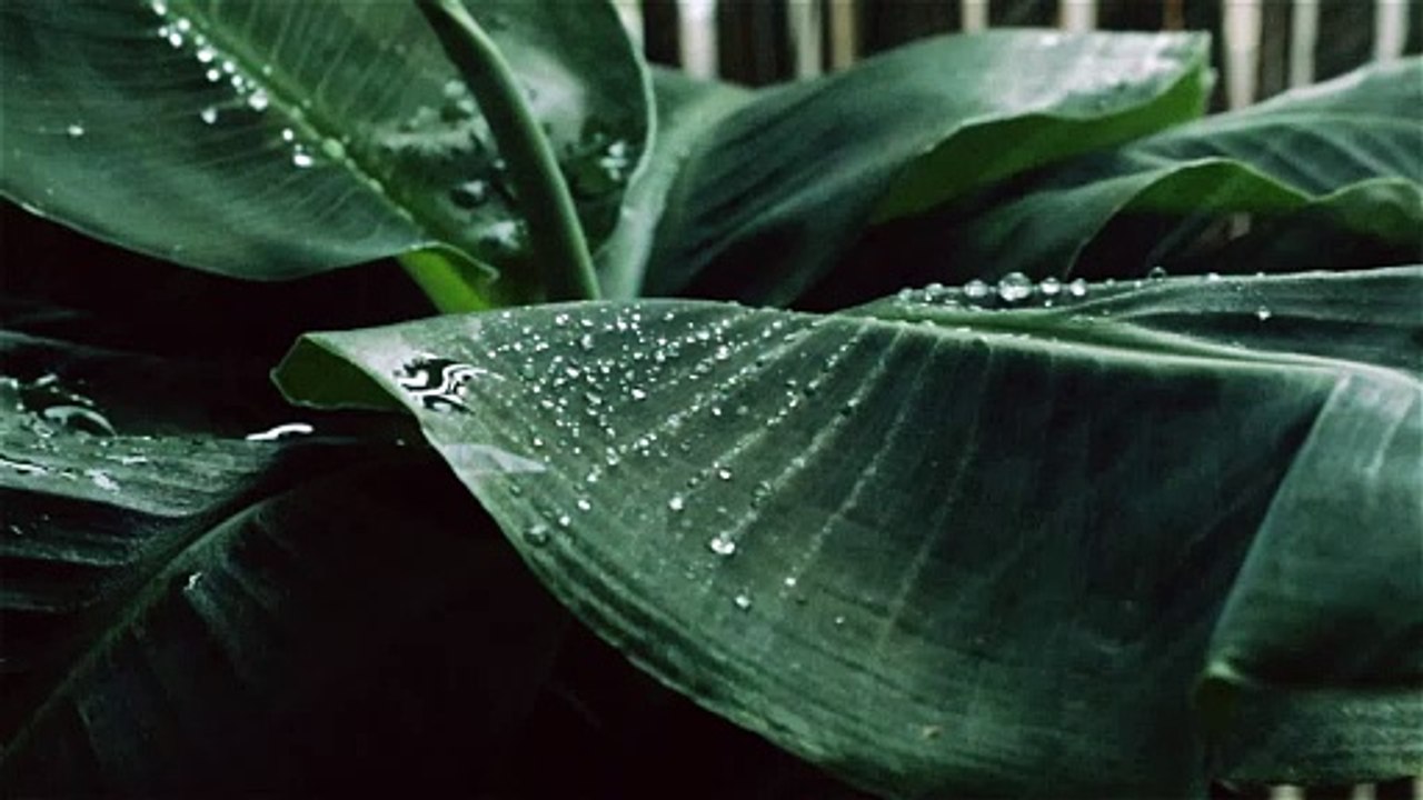 Amazing nature