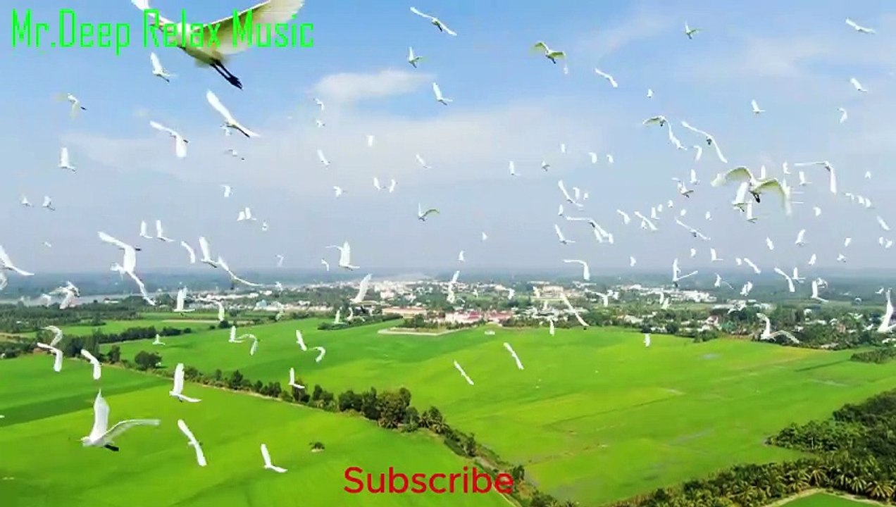 Motivation Song English Whispers of Relaxation: Your Ultimate Chill Music