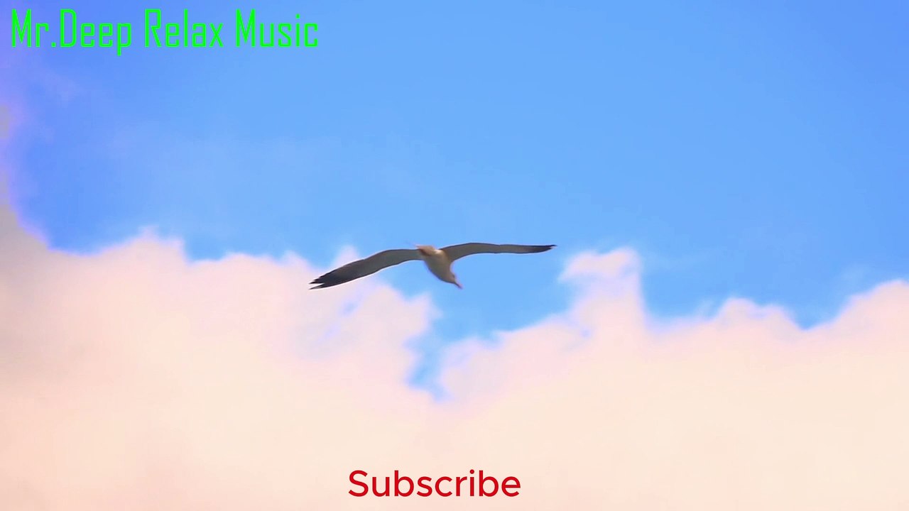 Motivation Song English Whispers of Relaxation: Your Ultimate Chill MusicWhispers of Relaxation: Your Ultimate Chill Music