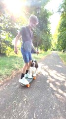 Dog Helps Push Boy on Skateboard