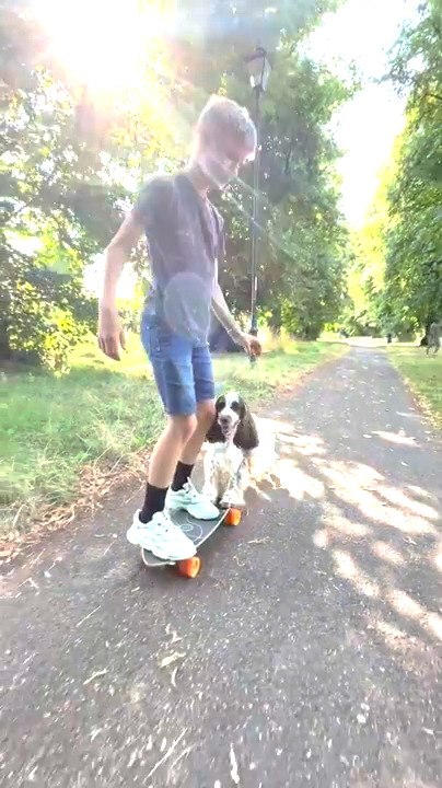 Dog Helps Push Boy on Skateboard
